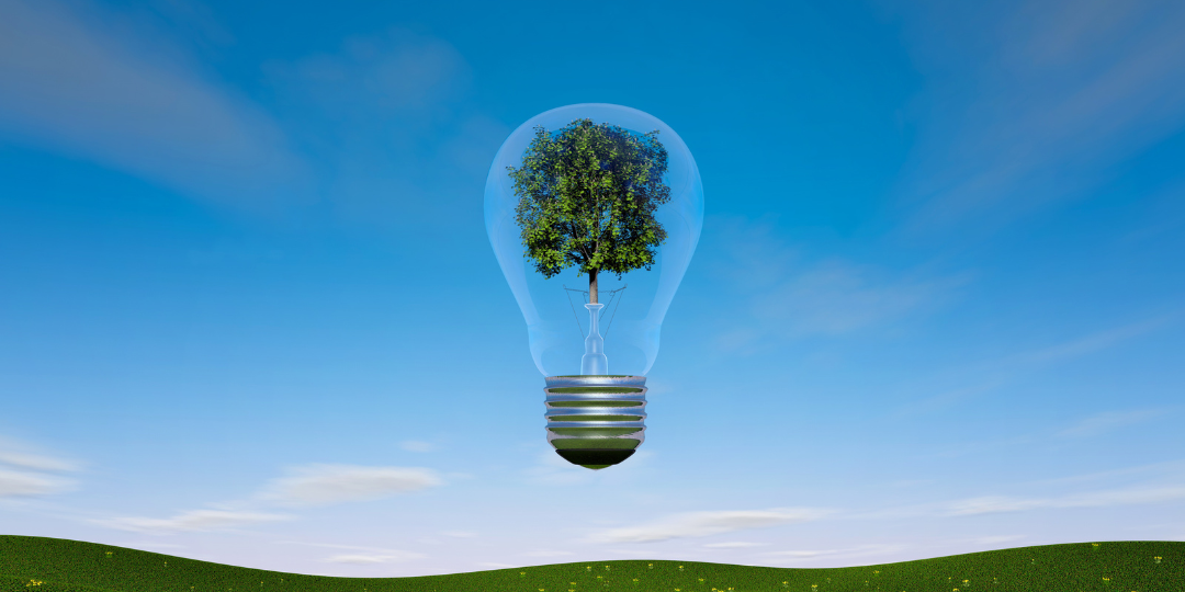 Sustainable lighting: how do you contribute to a better environment?