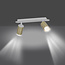 Kokkola 2L white and gold ceiling lamp 2x GU10 orientable