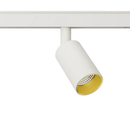 Mini LED koker met module voor 48V rail 40 mm diameter 6W