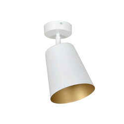 Raahe Plafón individual orientable blanco y dorado 1x E27