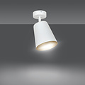 Raahe white and gold orientable single ceiling lamp 1x E27