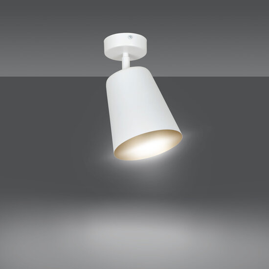 Raahe white and gold orientable single ceiling lamp 1x E27