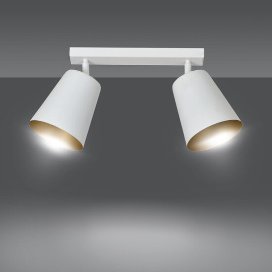Emibig Emibig Raahe lámpara de techo doble direccional blanca y dorada 2x E27 - Crea un ambiente elegante en tu sala de estar