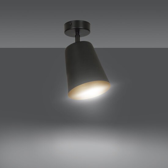 Raahe gold and black directional single ceiling lamp 1x E27