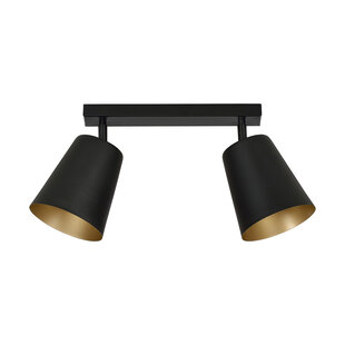 Raahe dubbele goud en zwarte richtbare dubbele plafondlamp 2x E27