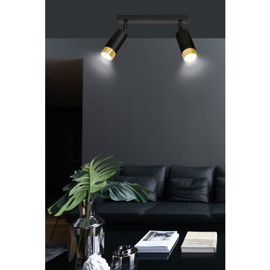 Spot de plafond Boras 2L noir finition dorée orientable GU10