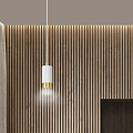 Karlstad white hanging lamp with gold tube GU10