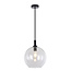 Fantasia Lámpara colgante Fantasia Osira E27 negro, cristal claro Ø300mm - lámpara de acero con 1 punto de luz, IP20