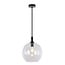 Fantasia Suspension Fantasia Osira E27 noir, verre clair Ø300mm - suspension en acier, 1 point lumineux, IP20