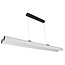 Fantasia Richard double pendant light black, 2x24W LED, 5180 lumens, 3000K warm white, aluminium, dimmable, IP20