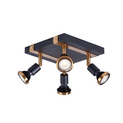 Robin ceiling spotlights 4L black/bronze GU10 LED 5W dim incl.