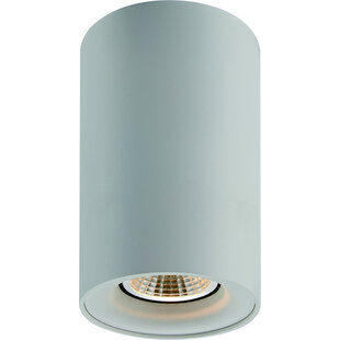 Tubo h110mm blanc 1x 5W LED GU10 dimmable incl.