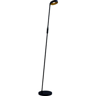 Lámpara de pie Bora LED 12,5W negro/oro