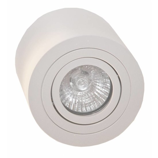 Fantasia Olala surface-mounted spot, round, brushed grey aluminum, adjustable, GU10, 90 mm, bulb not included