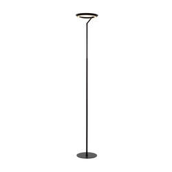 Carmelo zwarte staande lamp met ring 21W