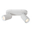 Spot de plafond double blanc cylindrique 2xGU10