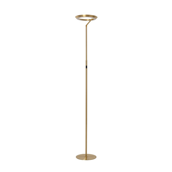 Carmelo messing gouden staande lamp met ring 21W