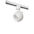 TRACK Forza witte railspot 1-fase railsysteem railverlichting GU10