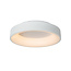 Myra 33W ceiling lamp diameter 45 cm LED dimmable 1x33W 2700K white