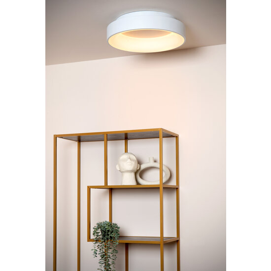 Myra 33W plafondlamp diameter 45 cm LED dimbaar 1x33W 2700K wit