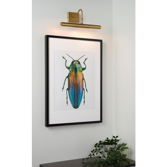 Picasso picture lighting 2xG9 matt gold brass