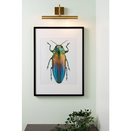 Iluminación para cuadros Picasso 2xG9 latón dorado mate