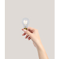A60 Filamentlampe Durchmesser 6 cm LED dimmbar E27 1x4,9W 2700K transparent