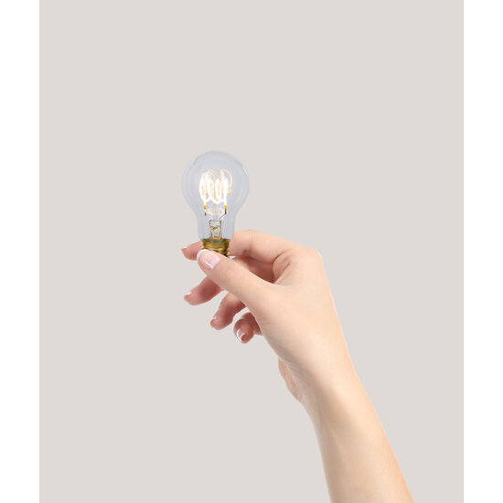 A60 Filamentlampe Durchmesser 6 cm LED dimmbar E27 1x4,9W 2700K transparent