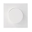 LED dimmer Leading edge RL 5-150W / Leading edge RC 5-300W white