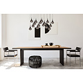 Rayner hanging lamp LED dimmable G4 16x1.5W 3000K black