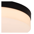 Steve kleine plafondlamp badkamer diameter 23 cm LED 1x12W 2700K IP44 zwart