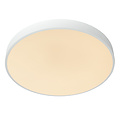 Roanne diameter 49.5 cm ceiling lamp LED dimmable 1x36W 2700K 3 StepDim white