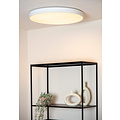 Roanne diameter 60 cm ceiling lamp LED dimmable 1x60W 2700K 3 StepDim white