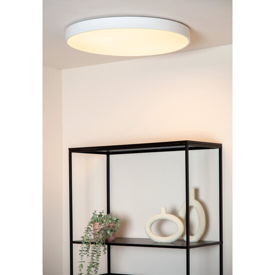 Roanne diameter 60 cm ceiling lamp LED dimmable 1x60W 2700K 3 StepDim white