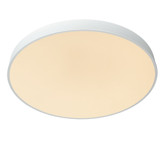 Roanne diameter 60 cm ceiling lamp LED dimmable 1x60W 2700K 3 StepDim white