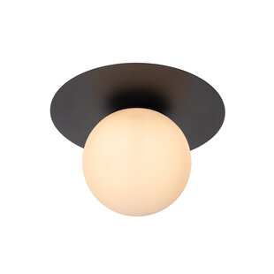 Riddick black ceiling lamp diameter 25 cm 1xE27