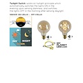 Lampe à filament G95 TWILIGHT SENSOR éclairage extérieur diamètre 9,5 cm LED E27 1x4W 2200K ambre