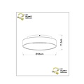 Myra witte plafondlamp diameter 38 cm LED dimbaar 1x22W 2700K
