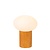 Lucide BIRTLE - Table lamp - 1xE14 - Opal