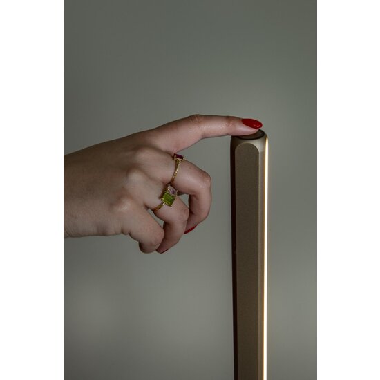 LUCIDE Lucide BRAGA - Lámpara de pie - Ø 30 cm - LED regulable - CCT - 1x22W 2700K/4000K - Café