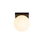 Lucide TASSA - Plafonnière Badkamer - Ø 13,5 cm - LED Dim to warm - 1x12W 1800K/3000K - Zwart