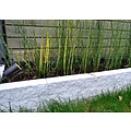 Lucide ARNE-LED - Foco de jardín - Ø 6,3 cm - LED - GU10 - 1x5W 2700K - IP44 - Negro