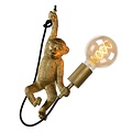 Lucide EXTRAVAGANZA CHIMP - Pendant lamp - Ø 17.6 cm - 1xE27 - Black