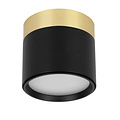 Fantasia RAKU spot LED Ø75mm, aluminium or brossé et noir, 7W, 3000K, dimmable, IP40
