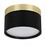 Fantasia RAKU LED ceiling light Ø113mm, 12W, 3000K warm white, dimmable, brushed gold and black