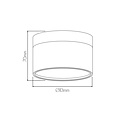Fantasia RAKU lámpara de techo LED Ø113mm, 12W, 3000K blanco cálido, regulable, oro cepillado y negro