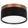 Fantasia RAKU wall/ceiling light Ø158mm, 24W integrated LED 3000K, dimmable, brushed bronze/black