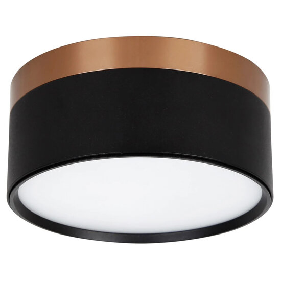 Fantasia RAKU wall/ceiling light Ø158mm, 24W integrated LED 3000K, dimmable, brushed bronze/black