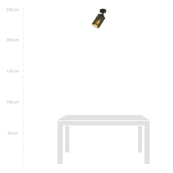 Emibig Emibig BRONX 1 BLACK - Lampe de plafond industrielle élégante