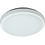 Ceiling light LED bathroom glass mat 30W LED IP44 254mm